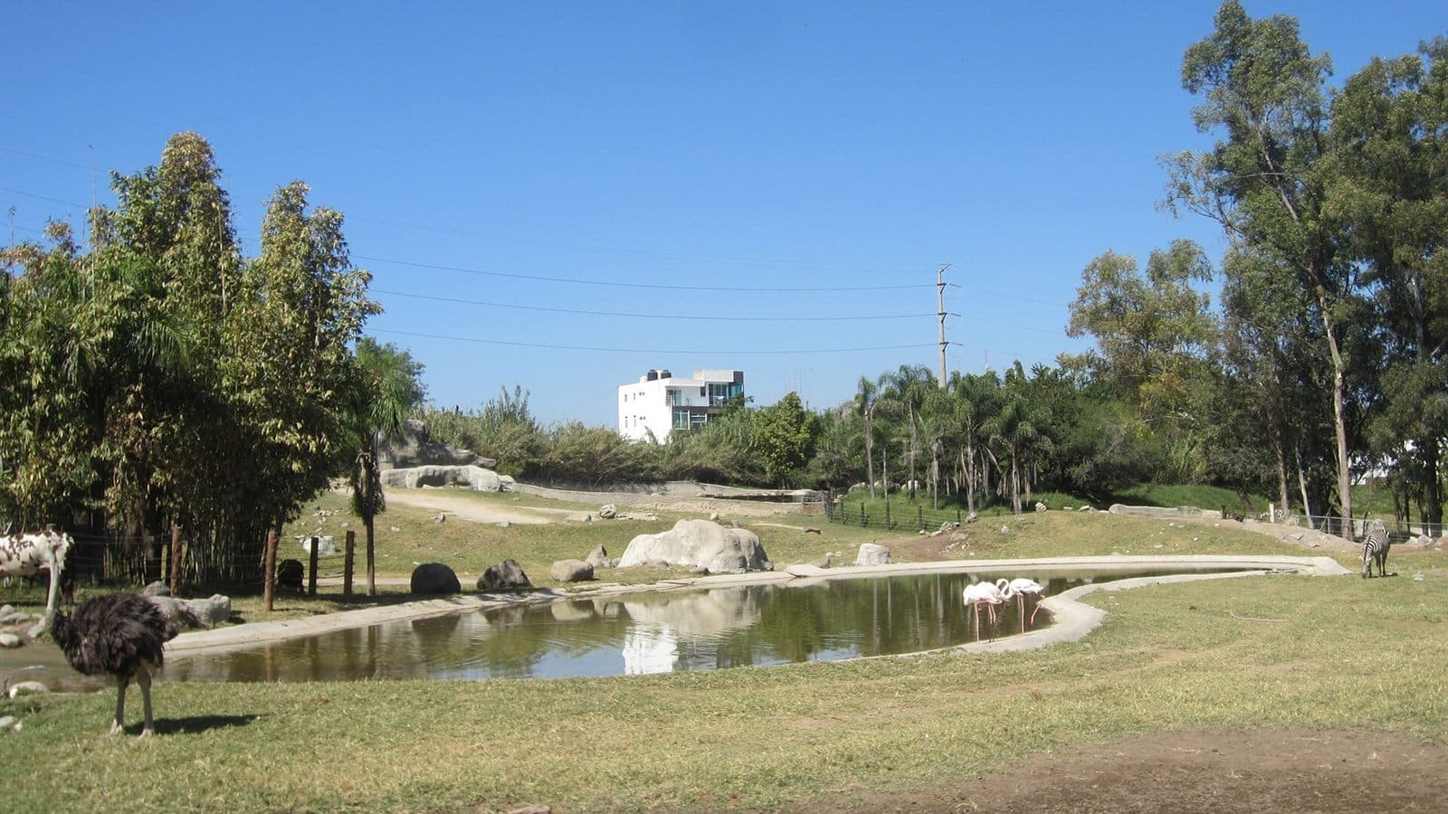 Vista de Guadalajara, Jalisco